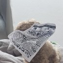 이일기