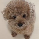 일상을 노래하다 이미지