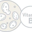 ㈜비밸런스 이미지