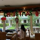 모카모텔 | 필리핀 세부 현지인 카페 추천 코코넛펜션하우스 kemi cafe 내돈내산 방문 후기