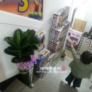 화랑체능스쿨 이미지