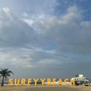 삼양칼국수 | [대관령2편] 삼양라운드힐/평창 가볼만한곳/양떼목장/양떼몰이쇼/강릉맛집/금학칼국수/내돈내산/솔직후기