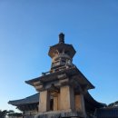 불국로(남) 이미지