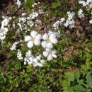 계남근린공원 이미지