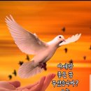 화사한날 이미지