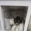 인형뽑기룸 이미지