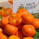 청도그린영농조합법인