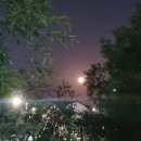 수원-0863 이미지