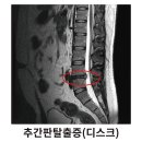 수성 메트로 동물병원 이미지