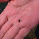 서해바다 | 내돈내산 서해 부안 예쁜숙소 [품안에서해바다 펜션] 감동 후기글~!