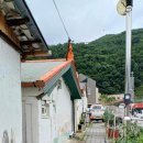 경지양돈 이미지