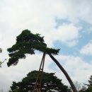 전통한옥팬션 이미지