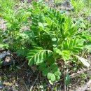 전원농장 이미지