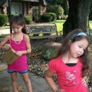 복실강아지 이미지