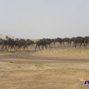 베스트투어 이미지