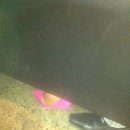 공용화장실 이미지