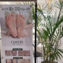 반디인하우스&큐릭스수원