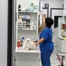 열린동물병원 뉴시스
