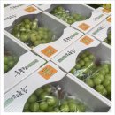 명성청과 이미지