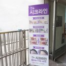 더시크라인 이미지