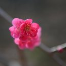 고사마을 이미지