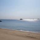 고등어 화장실 이미지