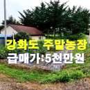 강화도 고려산자락 주말농장 매5천만원 이미지