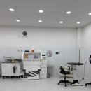 pet144더2499 | 춘천애견미용 추천 🐶 넓고 쾌적한 춘천강아지미용 [몽슈펫] 후기