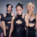 블랙핑크 카카오 검색결과