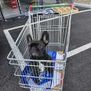 밧데리 119 이미지