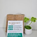 대환 농장 | 프리미엄 수제캣닢 고양이민트