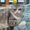 행복전기
