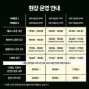 [250504 검정치마 앵콜콘서트 &lt;백&gt;구역 스탠딩 관람후기] &#34;LAST CHANCE TO COME BACK HOME&#34; | MD추천...