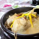 포천 구들찜가마 | 삼계탕 맛집 찐!! 포천 삼계탕 맛집 일명 타운 식당에서 몸보신 제대로 했어요~