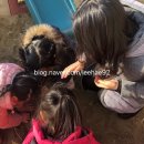 지구촌어린이집 네이버블로그