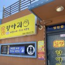 늘한결 | 제주에서 꼭 먹어야 할 로컬맛집 3년째 단골인 “월정항아리 칼국수”내돈내산후기