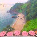 피스하우징(평화주택) 이미지