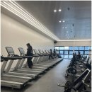 다이아 짐 이미지