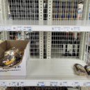 두미르영외마트 이미지