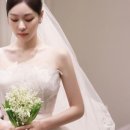 🕊️ w8. 스드메 확정! 무이스튜디오 한남, 소유 브라이덜, 애브뉴준오 견적 공개