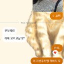 MK참사랑치과의원 | 사랑이 아프니..? yes ..무지막지한 사랑니 발치 후기