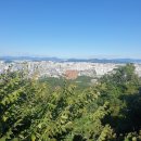 보성여중고입구 버스정류소 이미지