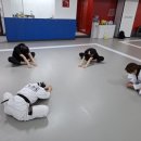 청우태권도 이미지