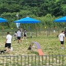 견생폼사 노컷뉴스