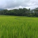 초심산방