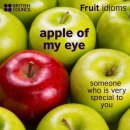 Do you know the English idiom or expression "apple of my eye"? 이미지