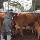 서대리농장 이미지