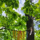 진흥목장 이미지