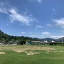 배바우손두부 이미지