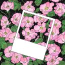 목화물 주식회사 이미지